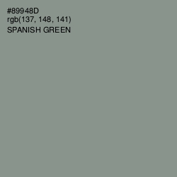 #89948D - Spanish Green Color Image
