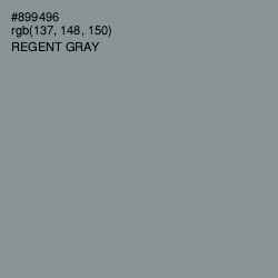 #899496 - Regent Gray Color Image