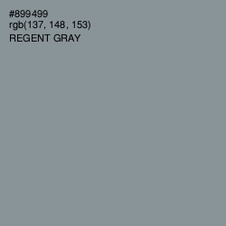 #899499 - Regent Gray Color Image