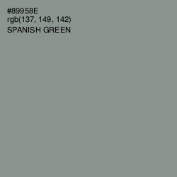 #89958E - Spanish Green Color Image