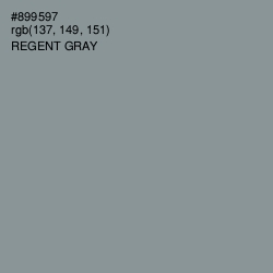 #899597 - Regent Gray Color Image