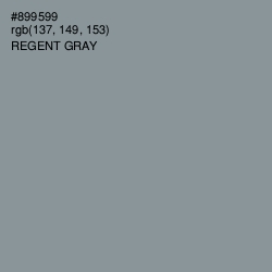 #899599 - Regent Gray Color Image