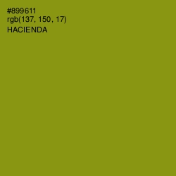 #899611 - Hacienda Color Image
