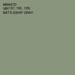 #89967D - Battleship Gray Color Image