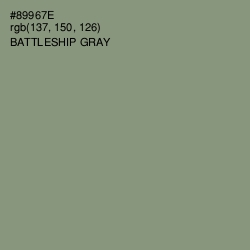 #89967E - Battleship Gray Color Image