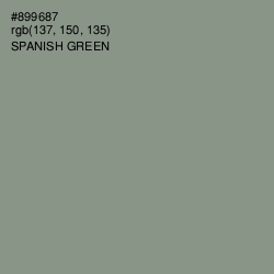 #899687 - Spanish Green Color Image