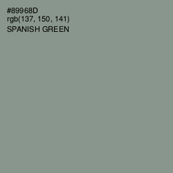 #89968D - Spanish Green Color Image