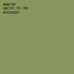 #89975F - Avocado Color Image
