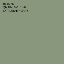 #89977C - Battleship Gray Color Image