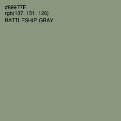 #89977E - Battleship Gray Color Image