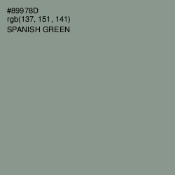 #89978D - Spanish Green Color Image