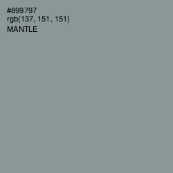 #899797 - Mantle Color Image