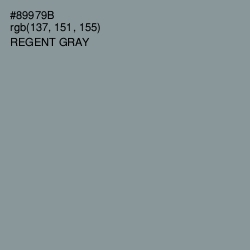 #89979B - Regent Gray Color Image