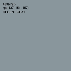 #89979D - Regent Gray Color Image