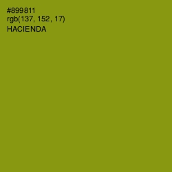 #899811 - Hacienda Color Image