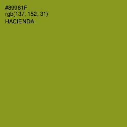 #89981F - Hacienda Color Image