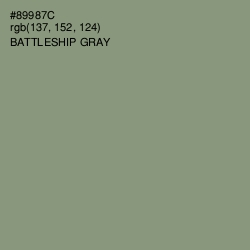 #89987C - Battleship Gray Color Image