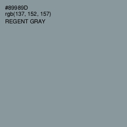 #89989D - Regent Gray Color Image