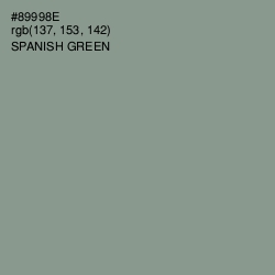 #89998E - Spanish Green Color Image