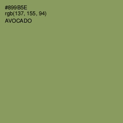 #899B5E - Avocado Color Image
