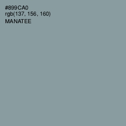 #899CA0 - Manatee Color Image