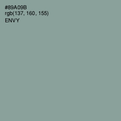 #89A09B - Envy Color Image