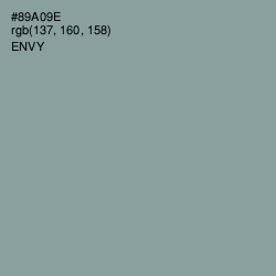 #89A09E - Envy Color Image