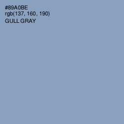 #89A0BE - Gull Gray Color Image