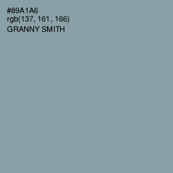 #89A1A6 - Granny Smith Color Image