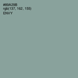 #89A29B - Envy Color Image