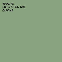 #89A37E - Olivine Color Image