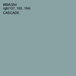 #89A3A4 - Cascade Color Image
