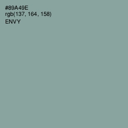 #89A49E - Envy Color Image
