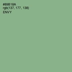 #89B18A - Envy Color Image