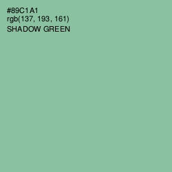 #89C1A1 - Shadow Green Color Image