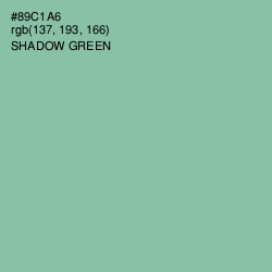 #89C1A6 - Shadow Green Color Image