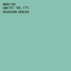 #89C1B1 - Shadow Green Color Image