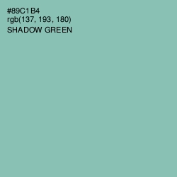 #89C1B4 - Shadow Green Color Image