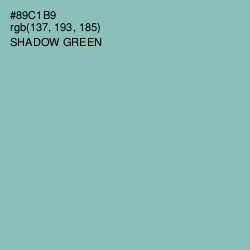 #89C1B9 - Shadow Green Color Image