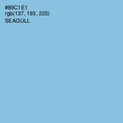 #89C1E1 - Seagull Color Image