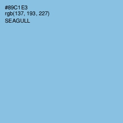 #89C1E3 - Seagull Color Image