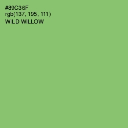 #89C36F - Wild Willow Color Image