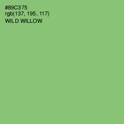 #89C375 - Wild Willow Color Image