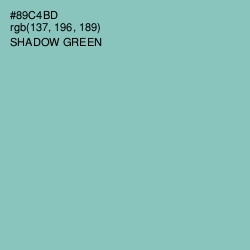 #89C4BD - Shadow Green Color Image