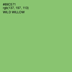 #89C571 - Wild Willow Color Image