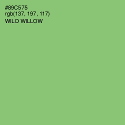 #89C575 - Wild Willow Color Image