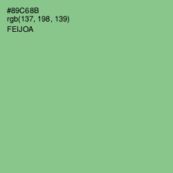 #89C68B - Feijoa Color Image