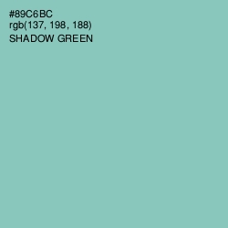 #89C6BC - Shadow Green Color Image