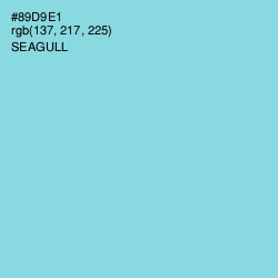 #89D9E1 - Seagull Color Image