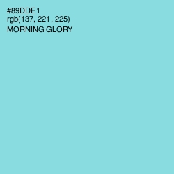 #89DDE1 - Morning Glory Color Image
